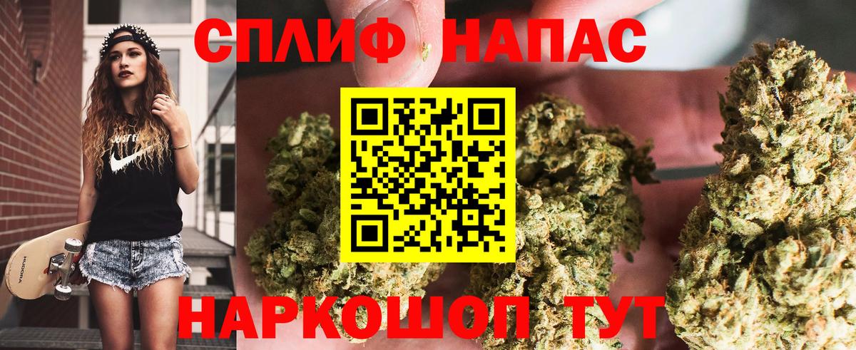 Шишки марихуана план  Вход с VPN  Каннабис VHQ  Шали  Конопля SATIVA & INDICA 
